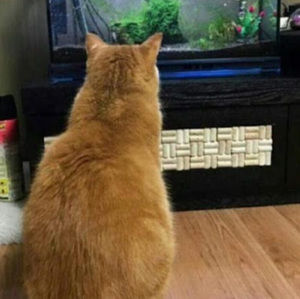 Meet your Posher, Sangkyun